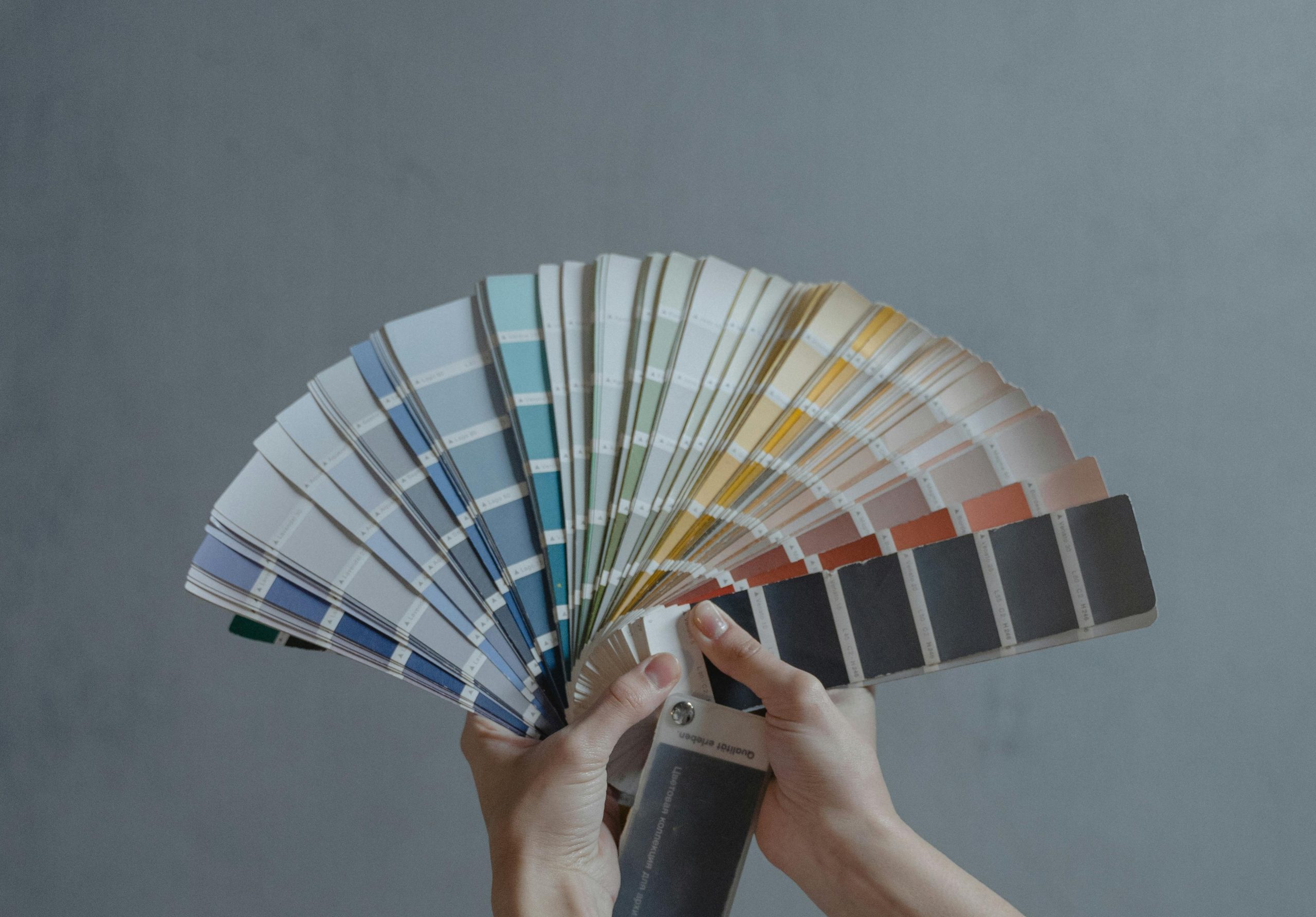 Photo of a Paint Swatch